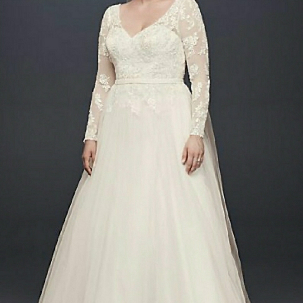 Size 16W David's Bridal Long Sleeve Wedding Dress